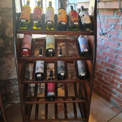 364996681_689581646529918_8888417749697402360_n