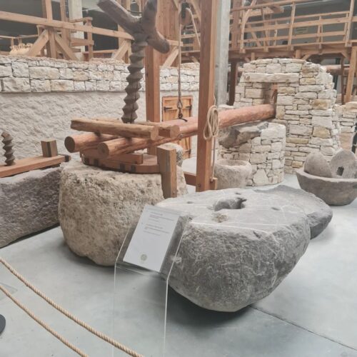 365023373_134435809709207_8930476023990957771_n