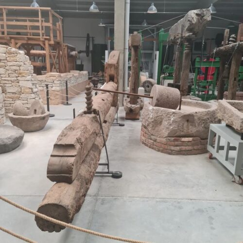 365414147_216720397662978_4837865248513687676_n