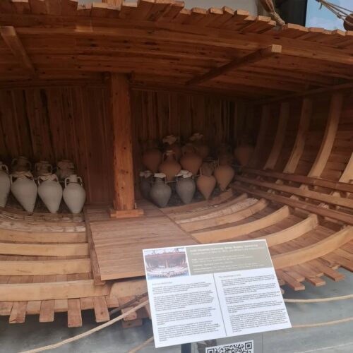 365446085_1329643247907817_889859616910307026_n