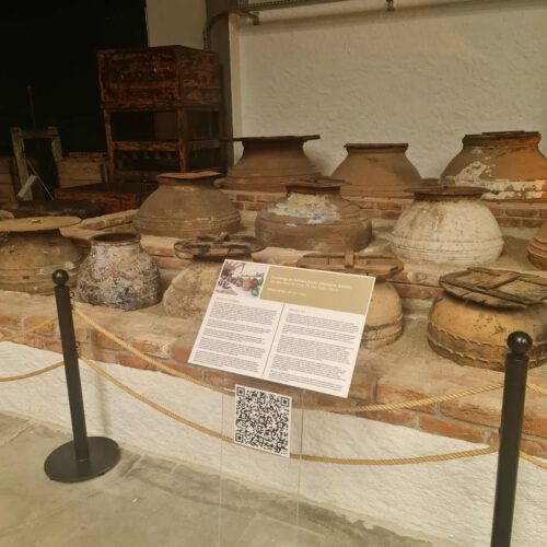 365449252_6261348713962810_3616318862221803826_n