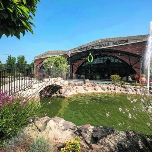 365976705_863987175060968_6002325017599990969_n