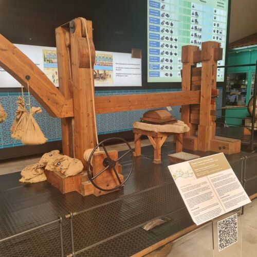 365988178_194063833662133_7525417245941478037_n