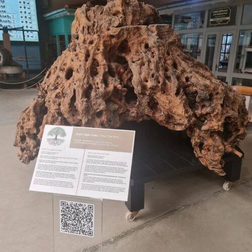 366144701_322978190080715_127099948177359353_n